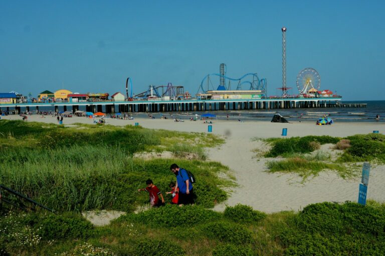 Galveston’s Pleasure Pier seen beyond the beach and dunes.