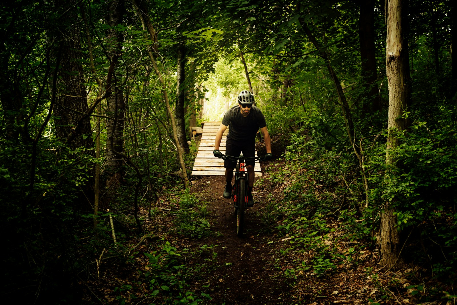 Mountain biking on a forest trail. Illustrative activity photograph.